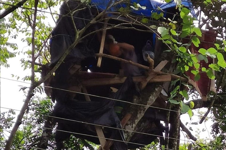 Homem constrói casa em árvore e mobiliza equipes da Prefeitura. Foto: Divulgação