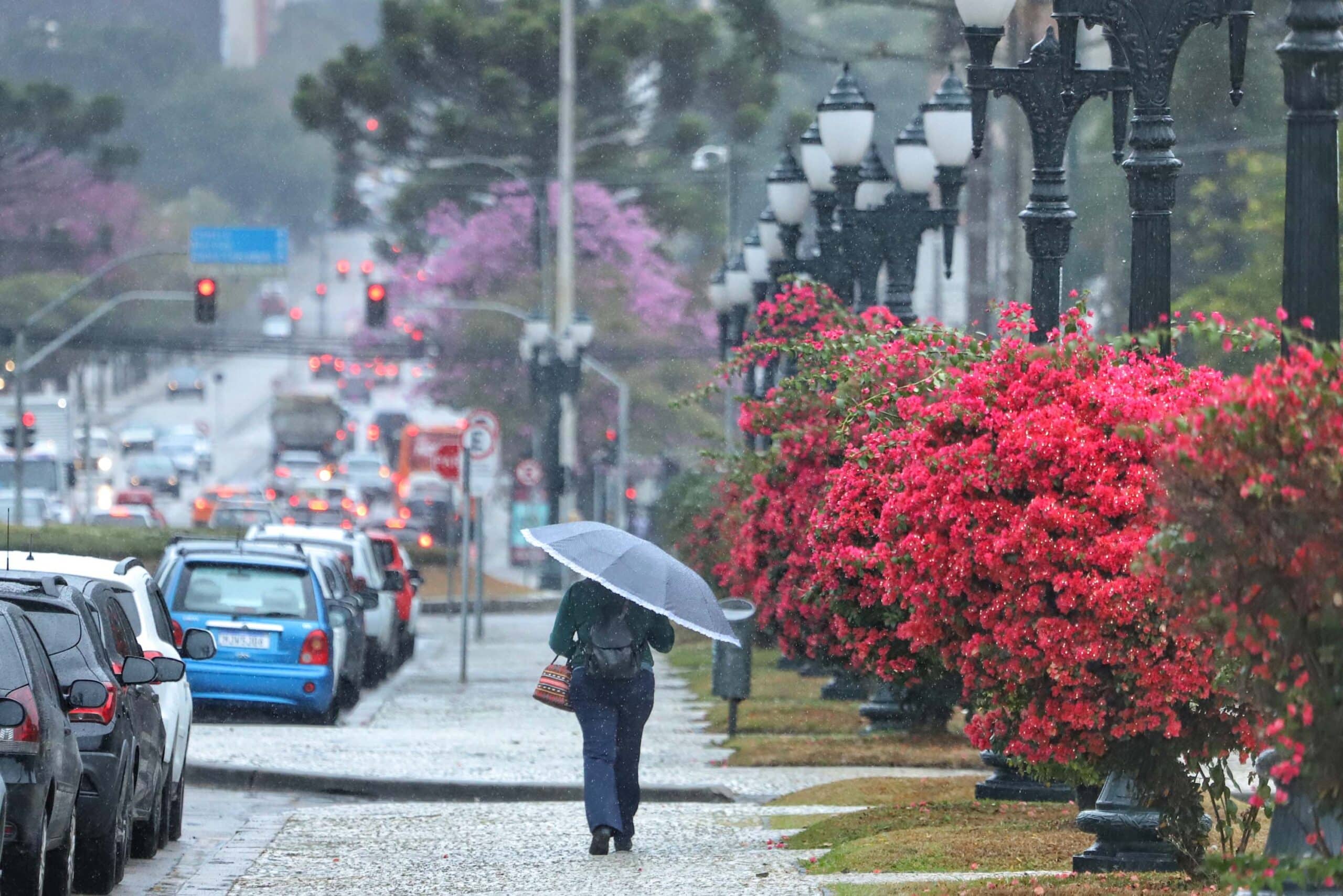 Tempo em Curitiba: temperaturas amenas devem persistir durante essa semana do Natal. Foto: José Fernando Ogura/AEN